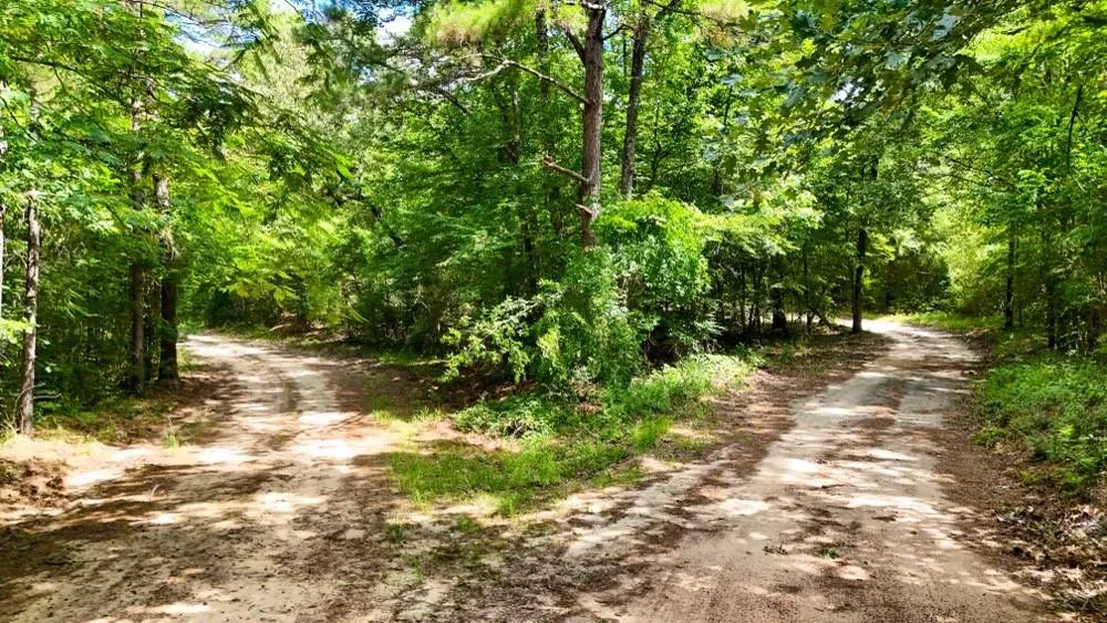County Road 3145 Colmesneil, TX 75938
