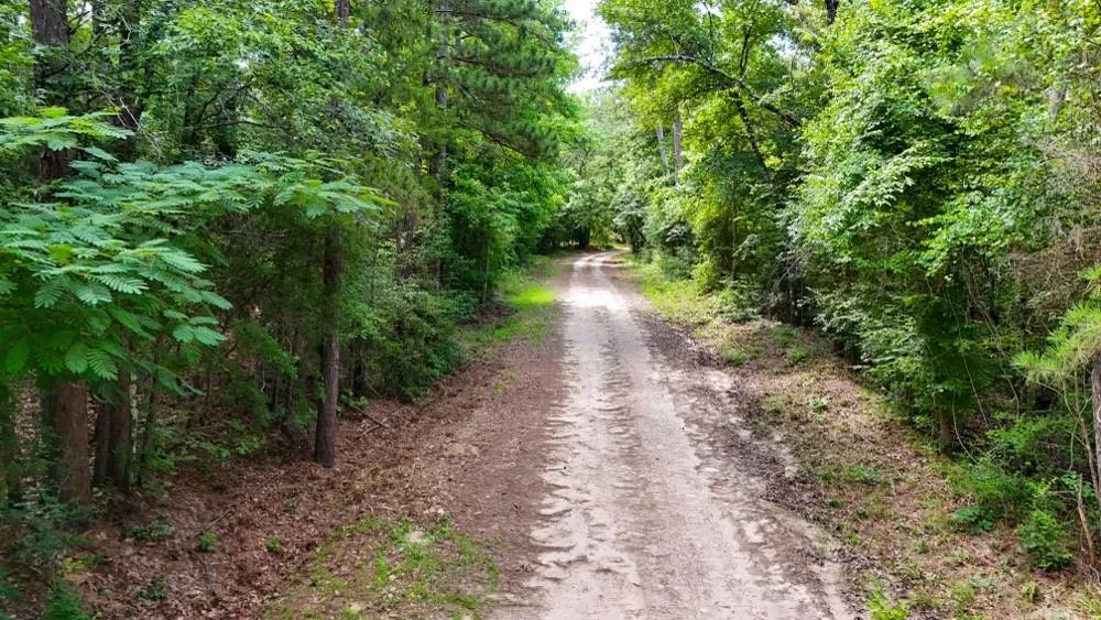 County Road 3145 Colmesneil, TX 75938