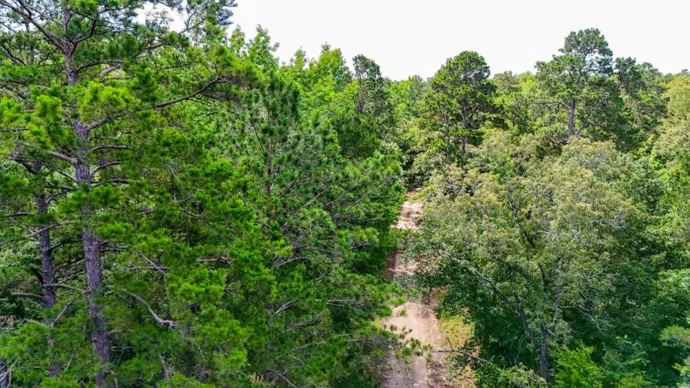 County Road 3145 Colmesneil, TX 75938