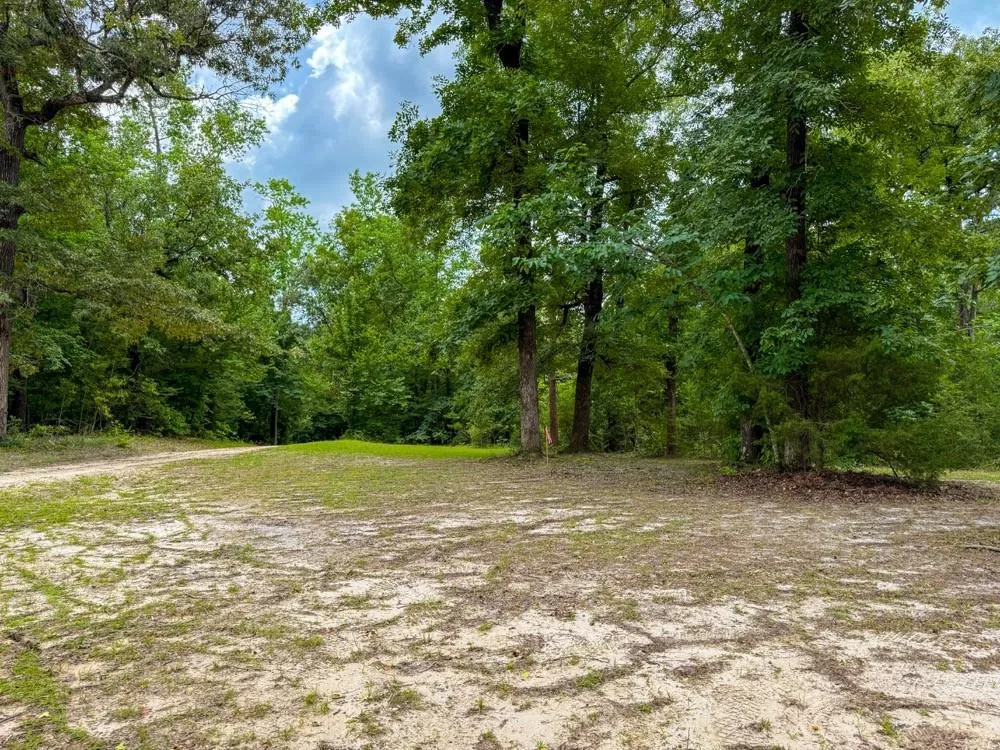 County Road 3145 Colmesneil, TX 75938