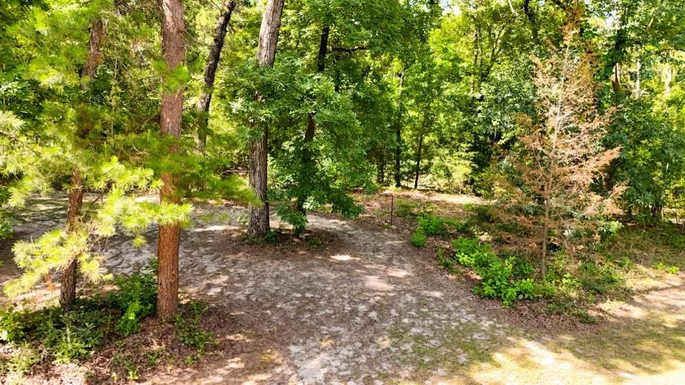 County Road 3145 Colmesneil, TX 75938