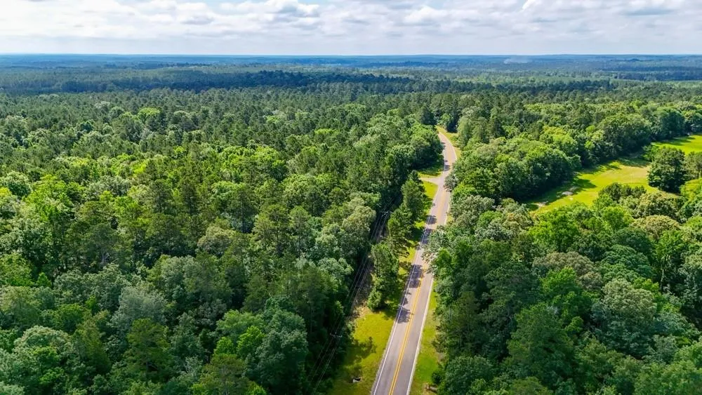 County Road 3145 Colmesneil, TX 75938