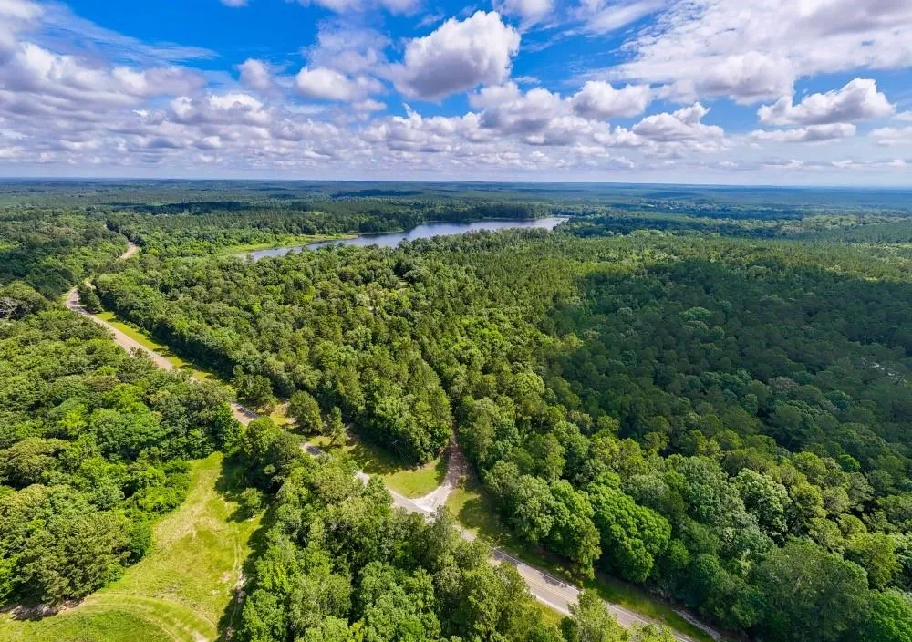 County Road 3145 Colmesneil, TX 75938