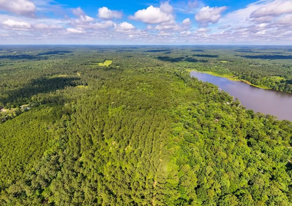 County Road 3145 Colmesneil, TX 75938