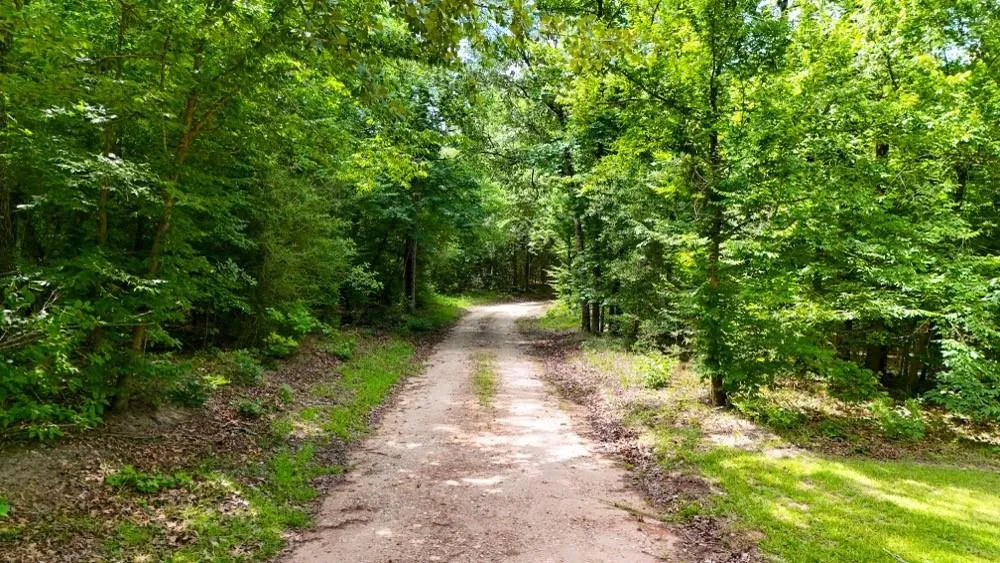 County Road 3145 Colmesneil, TX 75938