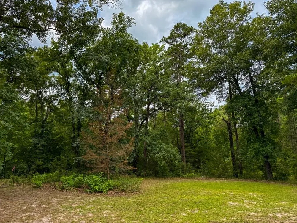 County Road 3145 Colmesneil, TX 75938