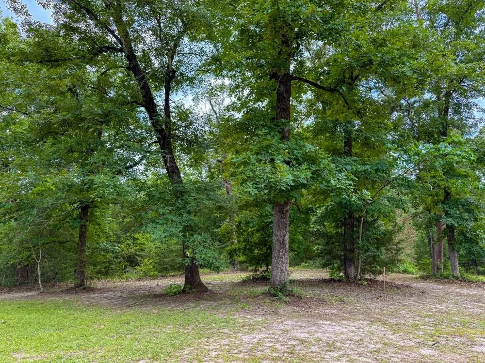 County Road 3145 Colmesneil, TX 75938