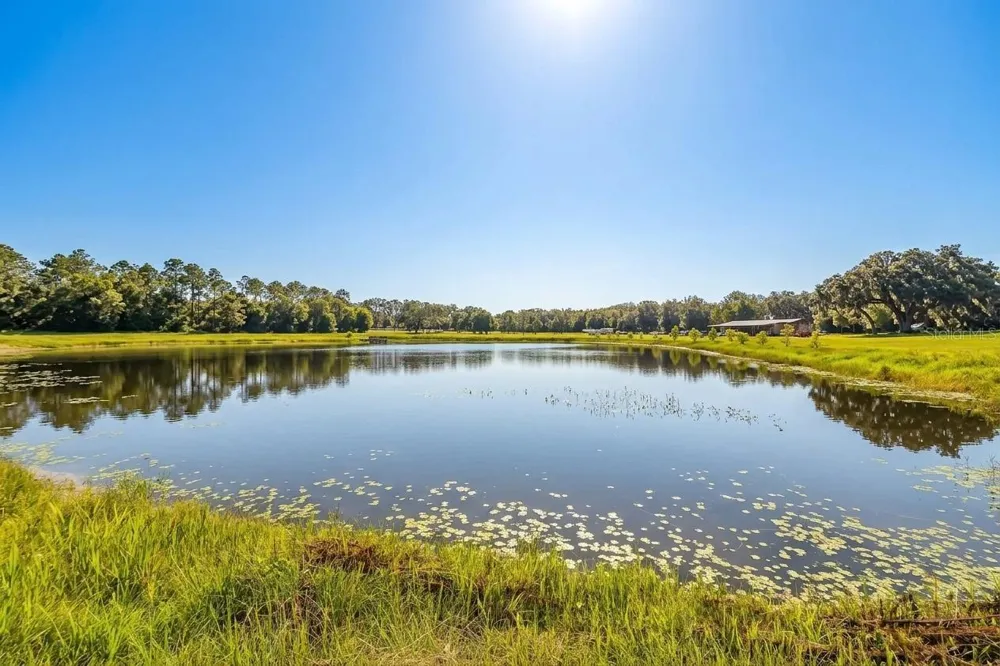 4940 STATE ROAD 11 De Leon Springs, FL 32130