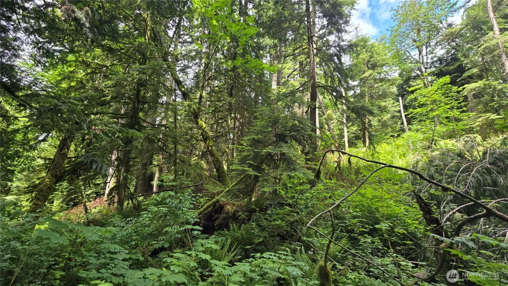 273 XX SE 150th Street Issaquah, WA 98027