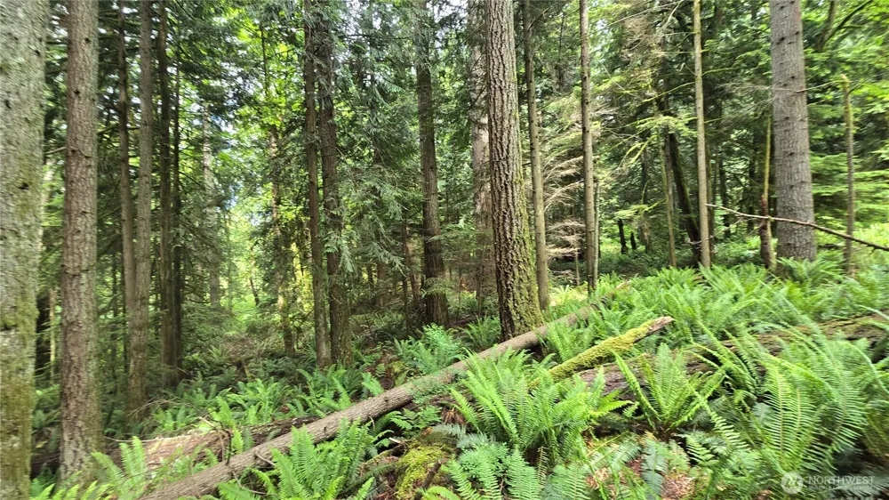 273 XX SE 150th Street Issaquah, WA 98027