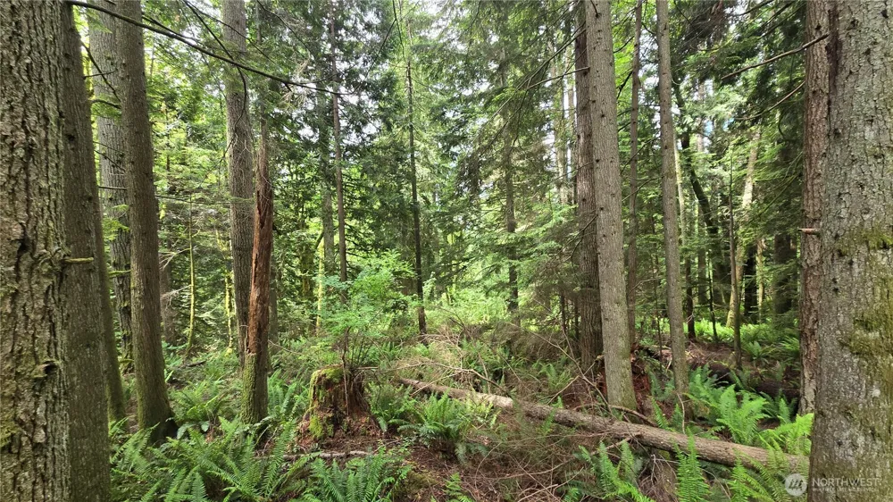273 XX SE 150th Street Issaquah, WA 98027