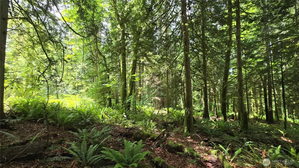 273 XX SE 150th Street Issaquah, WA 98027