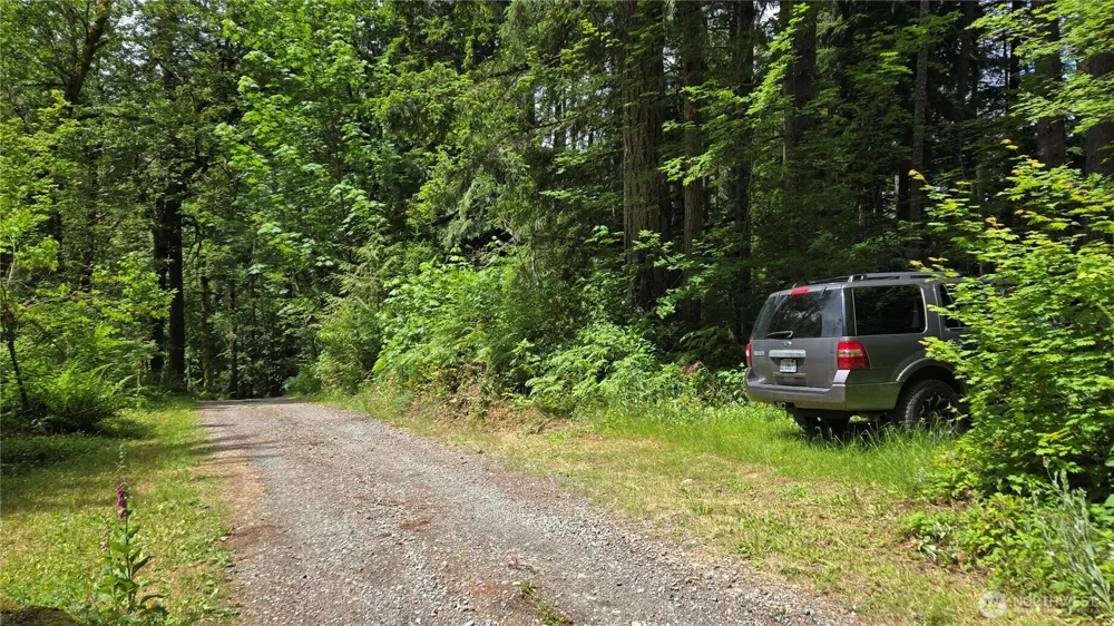 273 XX SE 150th Street Issaquah, WA 98027