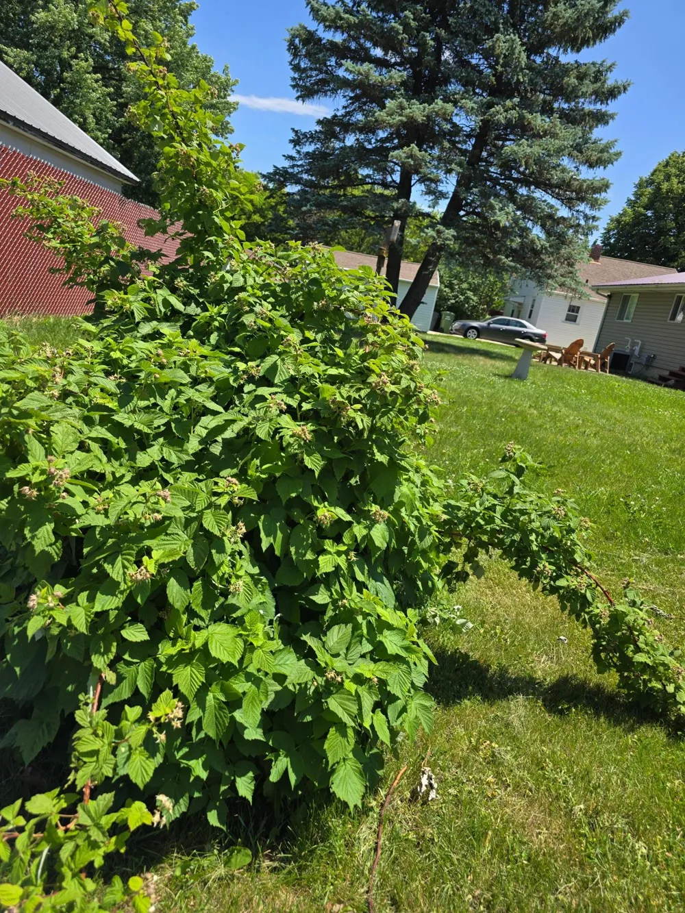 1601 Murray Avenue Worthington, MN 56187