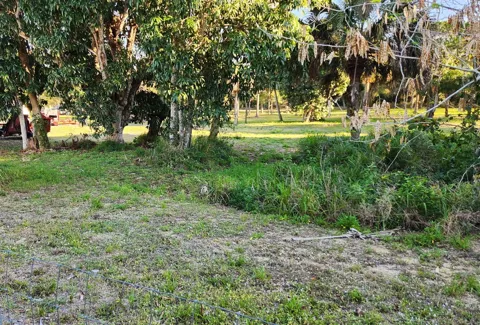 Savannah Road