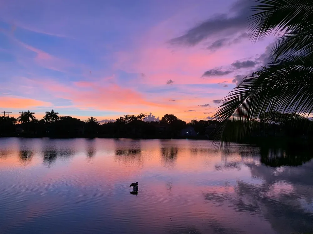 3342 Amsterdam Avenue Cooper City, FL 33026