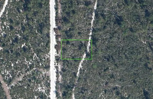 3289 Teakwood Drive Sebring, FL 33875