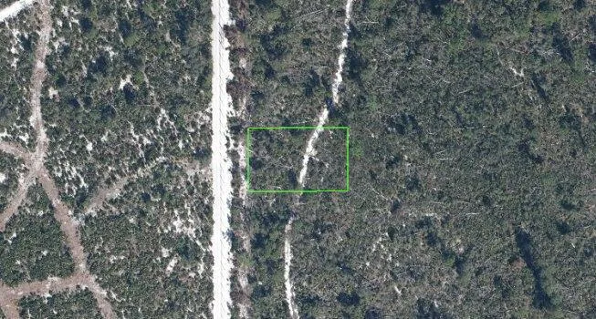 3285 Teakwood Drive Sebring, FL 33875
