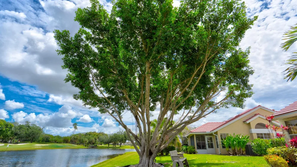 6120 Bear Creek Court Lake Worth, FL 33467