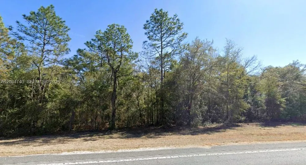 2 STR 121 Williston, FL 32696