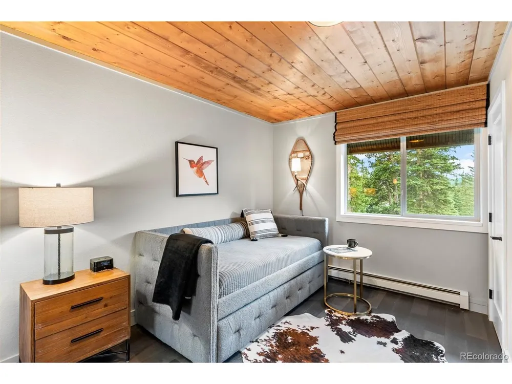 592 Brook Drive Idaho Springs, CO 80452
