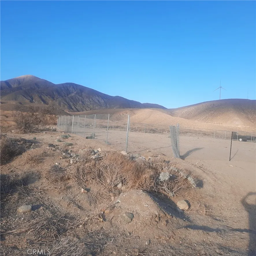 Mint Whitewater, CA 92282