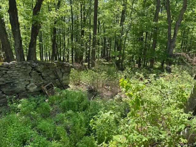 00 Polster Callicoon, NY 12726