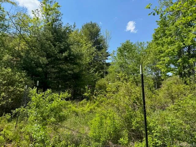 00 Polster Callicoon, NY 12726