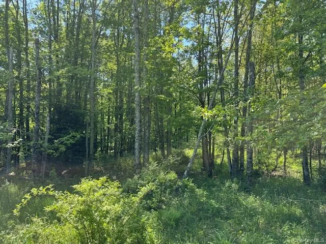 00 Polster Callicoon, NY 12726
