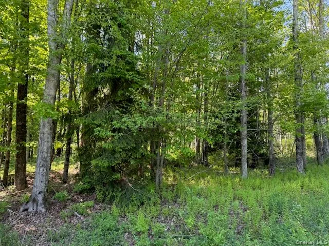 00 Polster Callicoon, NY 12726