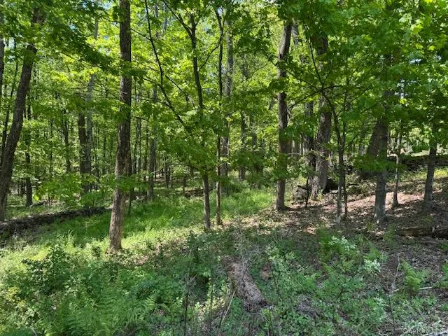 00 Polster Callicoon, NY 12726