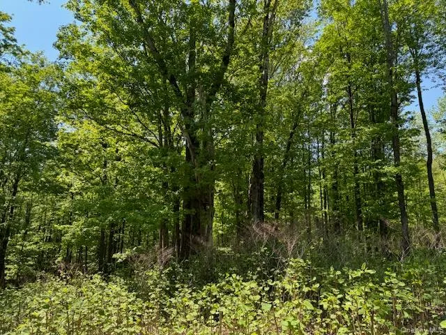 00 Polster Callicoon, NY 12726