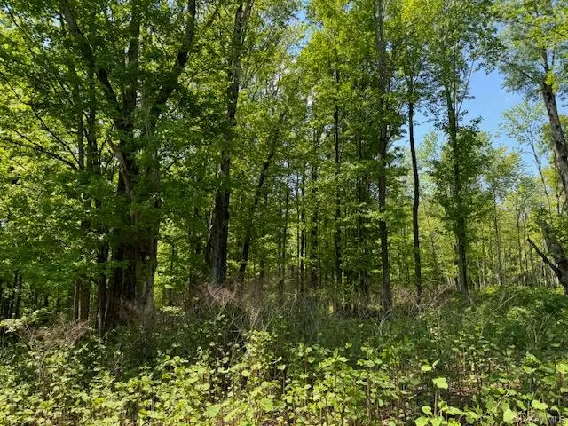00 Polster Callicoon, NY 12726