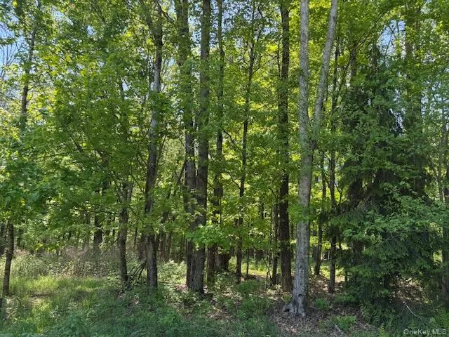 00 Polster Callicoon, NY 12726