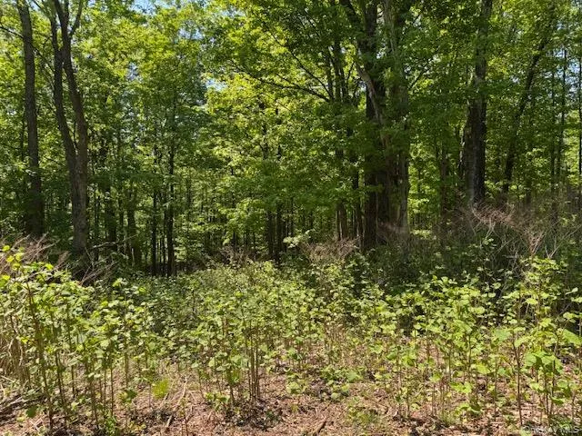 00 Polster Callicoon, NY 12726