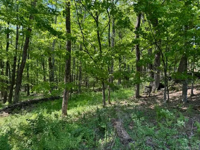 00 Polster Callicoon, NY 12726
