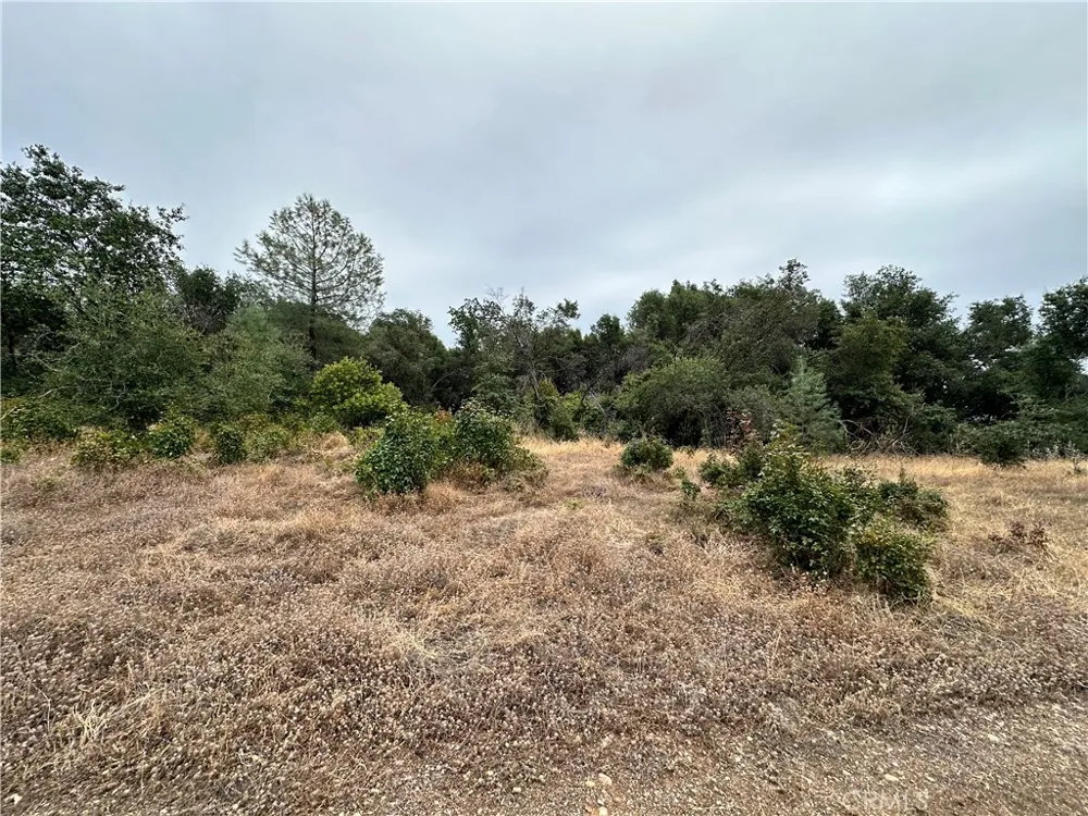 414 Beaver Oroville, CA 95966