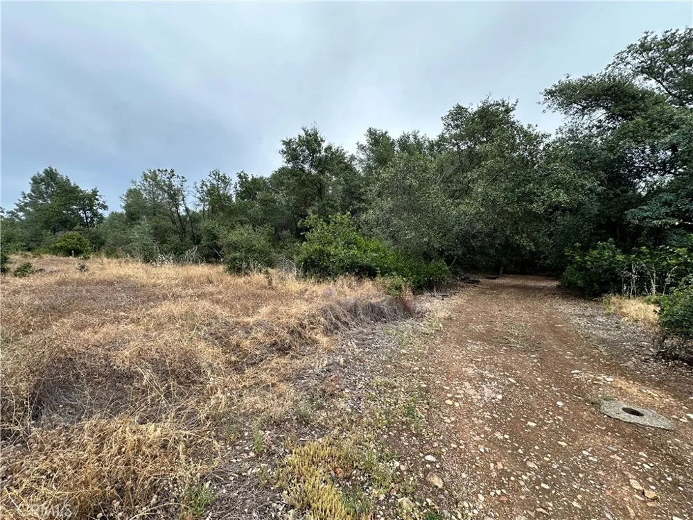 414 Beaver Oroville, CA 95966