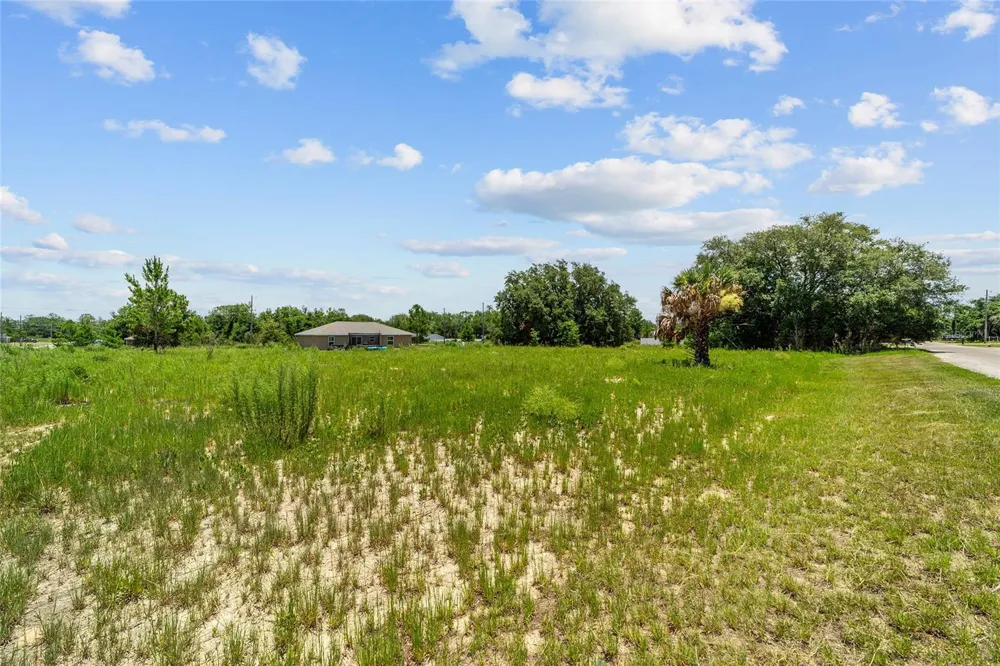 0 MALAUKA LOOP Ocklawaha, FL 32179
