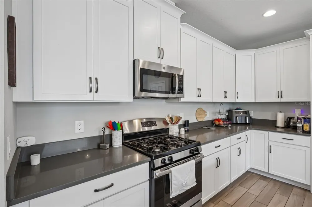 8210 MALLOW MIRROR LANE Land O Lakes, FL 34637