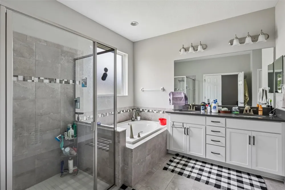 8210 MALLOW MIRROR LANE Land O Lakes, FL 34637