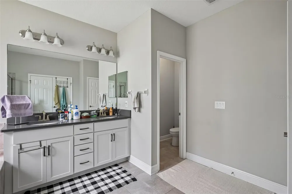 8210 MALLOW MIRROR LANE Land O Lakes, FL 34637