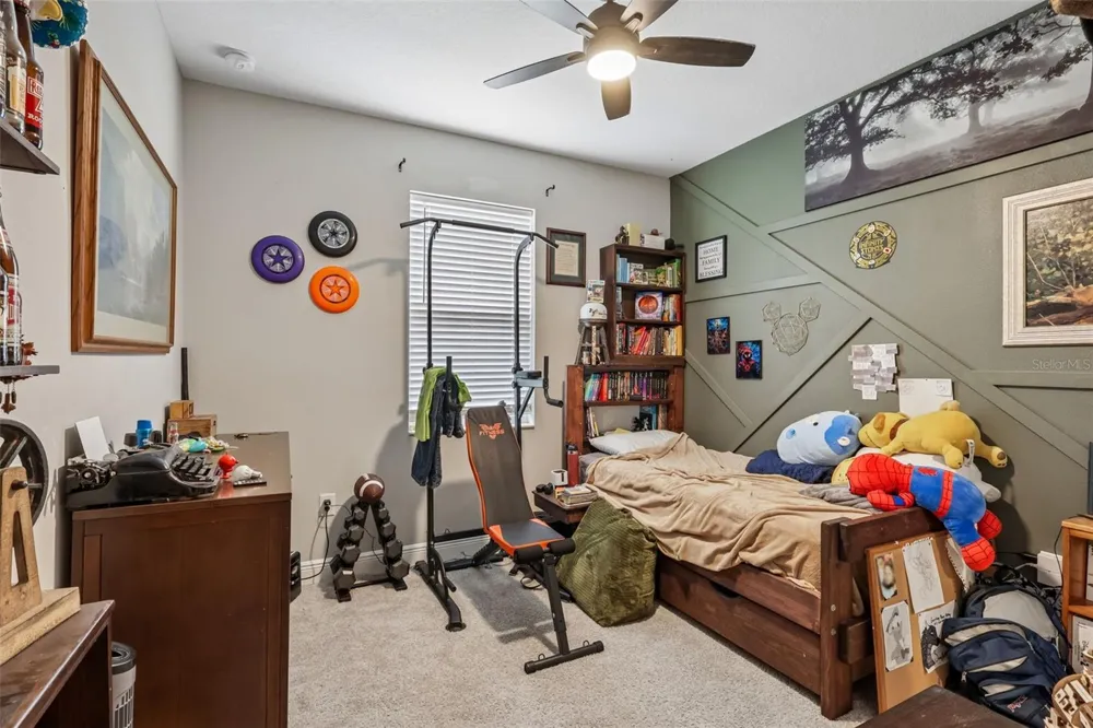 8210 MALLOW MIRROR LANE Land O Lakes, FL 34637