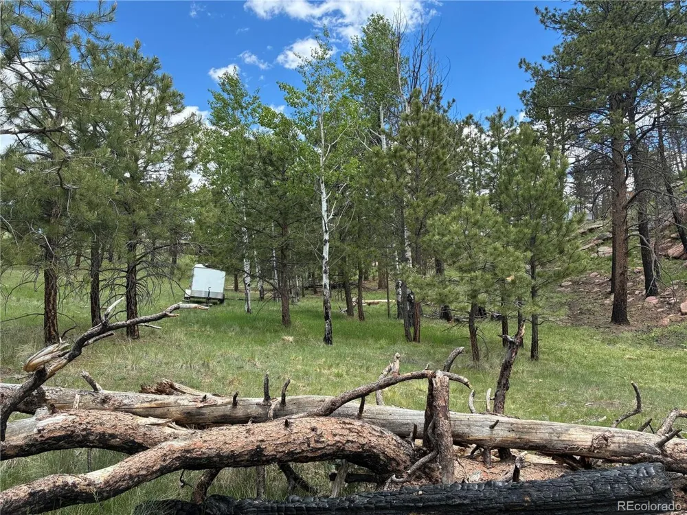 266 Chapparal Trail Florissant, CO 80816