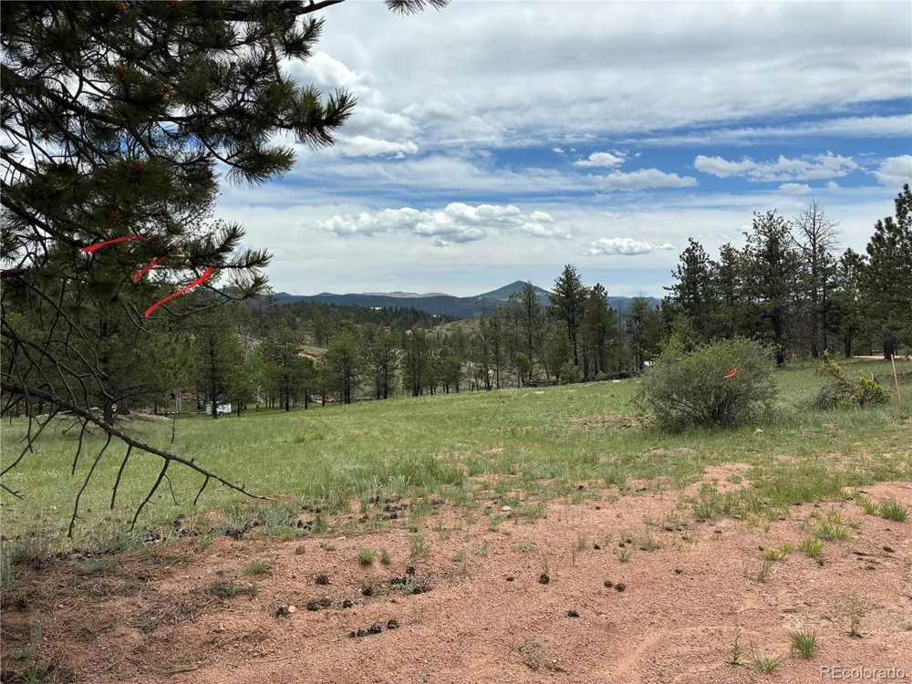 266 Chapparal Trail Florissant, CO 80816