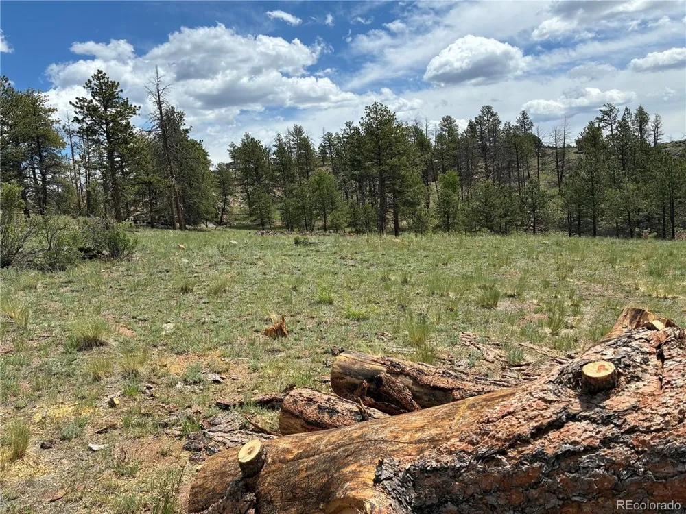 266 Chapparal Trail Florissant, CO 80816