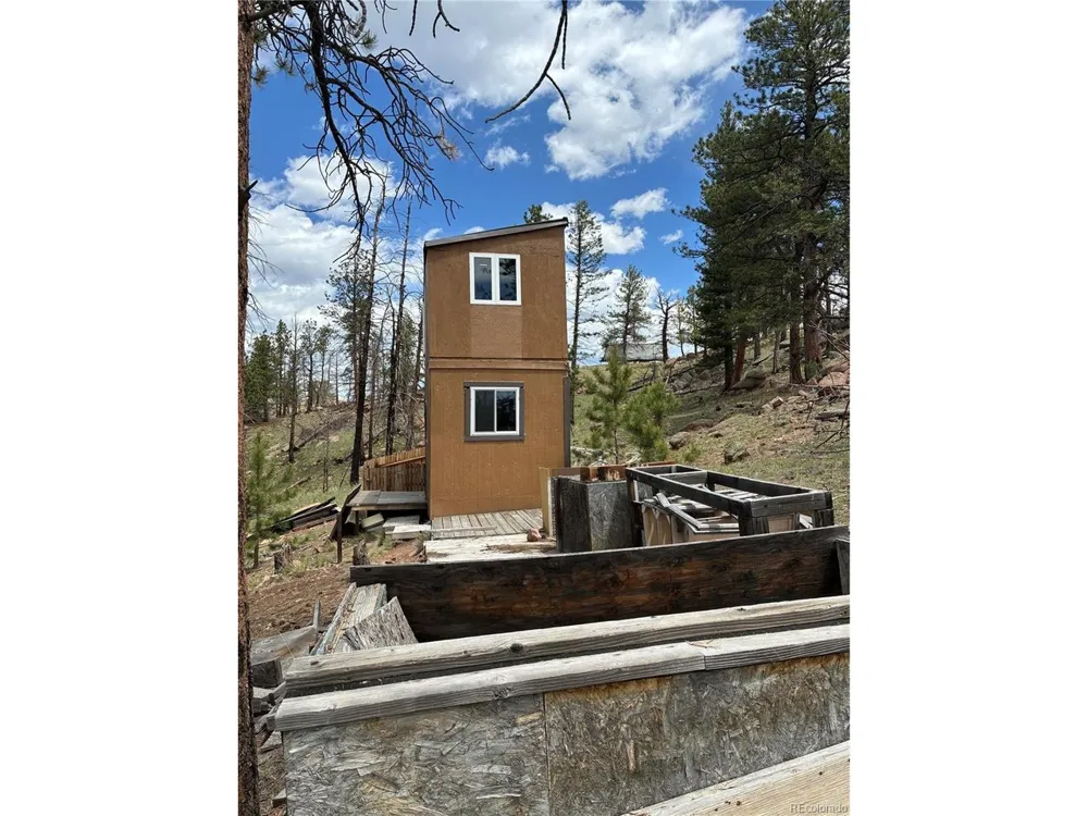 266 Chapparal Trail Florissant, CO 80816