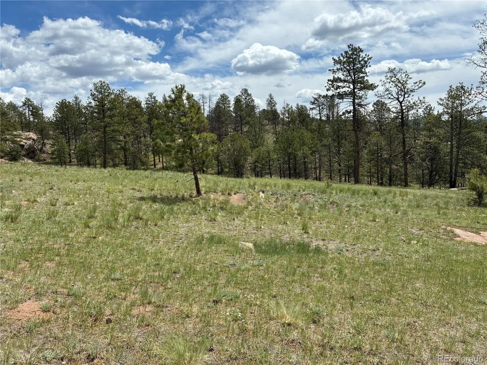 266 Chapparal Trail Florissant, CO 80816