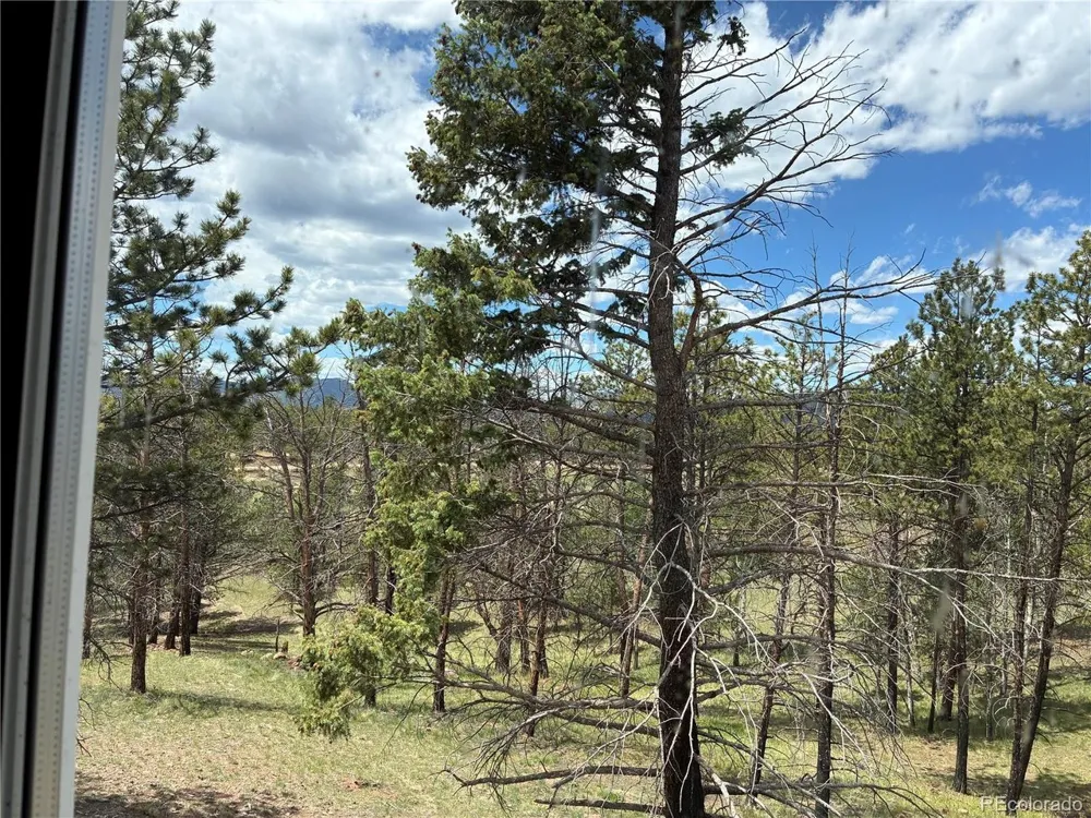266 Chapparal Trail Florissant, CO 80816