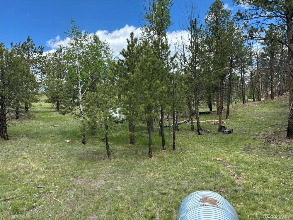 266 Chapparal Trail Florissant, CO 80816